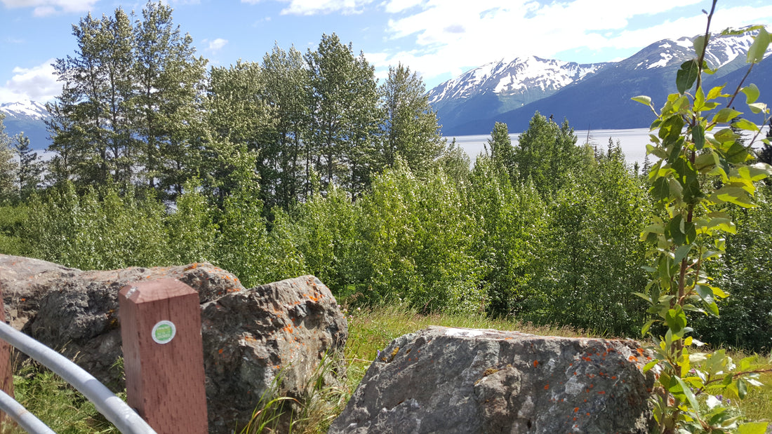 Commit Random Acts of Kindness - Mindful Message on a Bench next to a lake in Alaska with a green, lush forested landscape and snowcapped white mountains in the background.